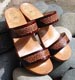celtique marron